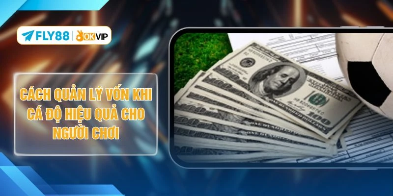 Cách Quản Lý Vốn Khi Cá Độ Hiệu Quả Cho Người Chơi