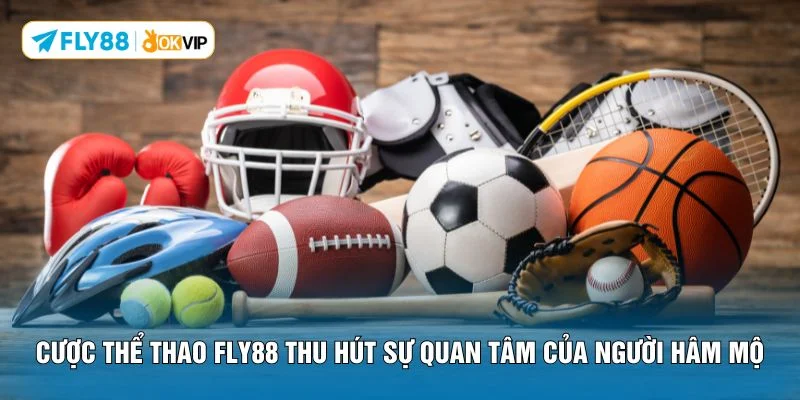 Cược thể thao FLY88 thu hút sự quan tâm của người hâm mộ