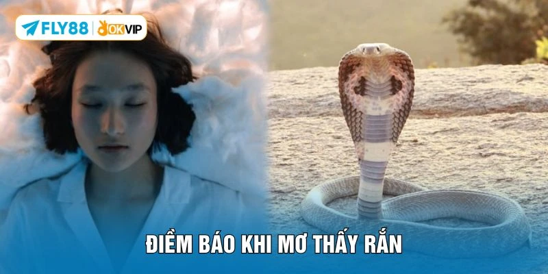 Điềm báo khi mơ thấy rắn 
