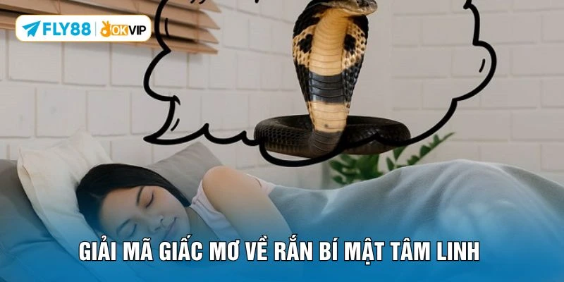 Giải mã giấc mơ về rắn bí mật tâm linh 