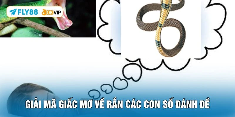 Giải mã giấc mơ về rắn các con số đánh đề 